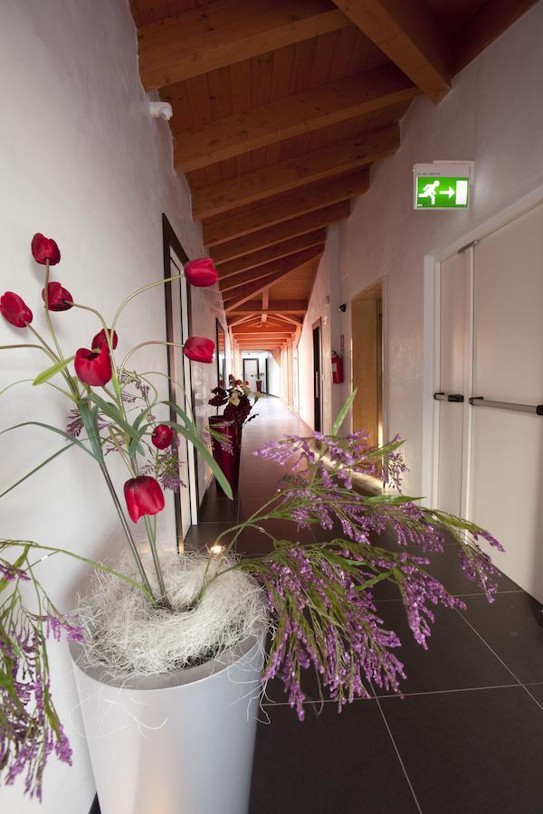 Hotel Eridano Sannazzaro de' Burgondi Bagian luar foto